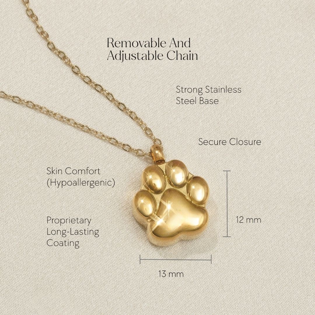 Paw Print Keepsake Jewelry