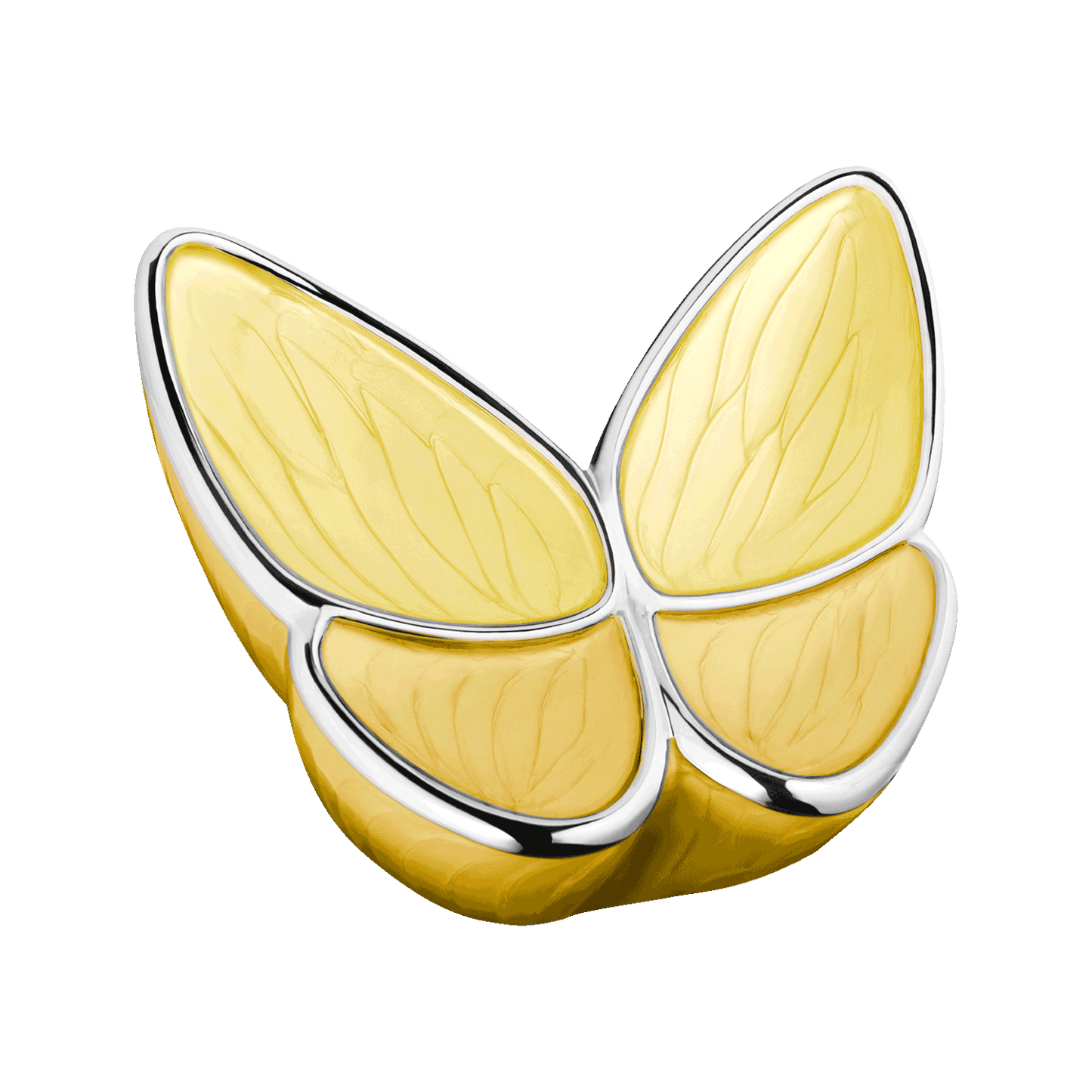 Flutter Keepsake