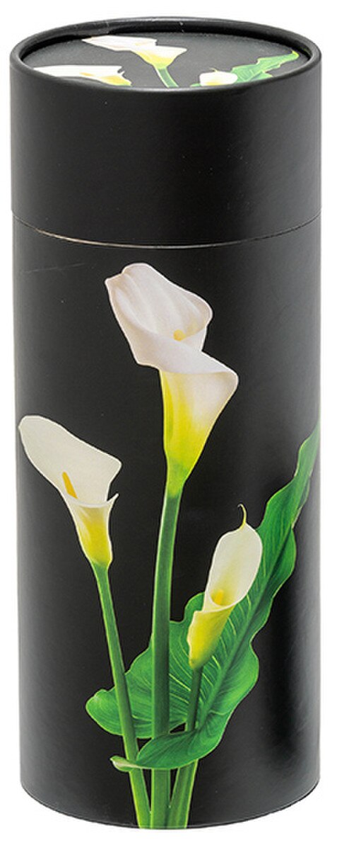 Lily Scattering Tube