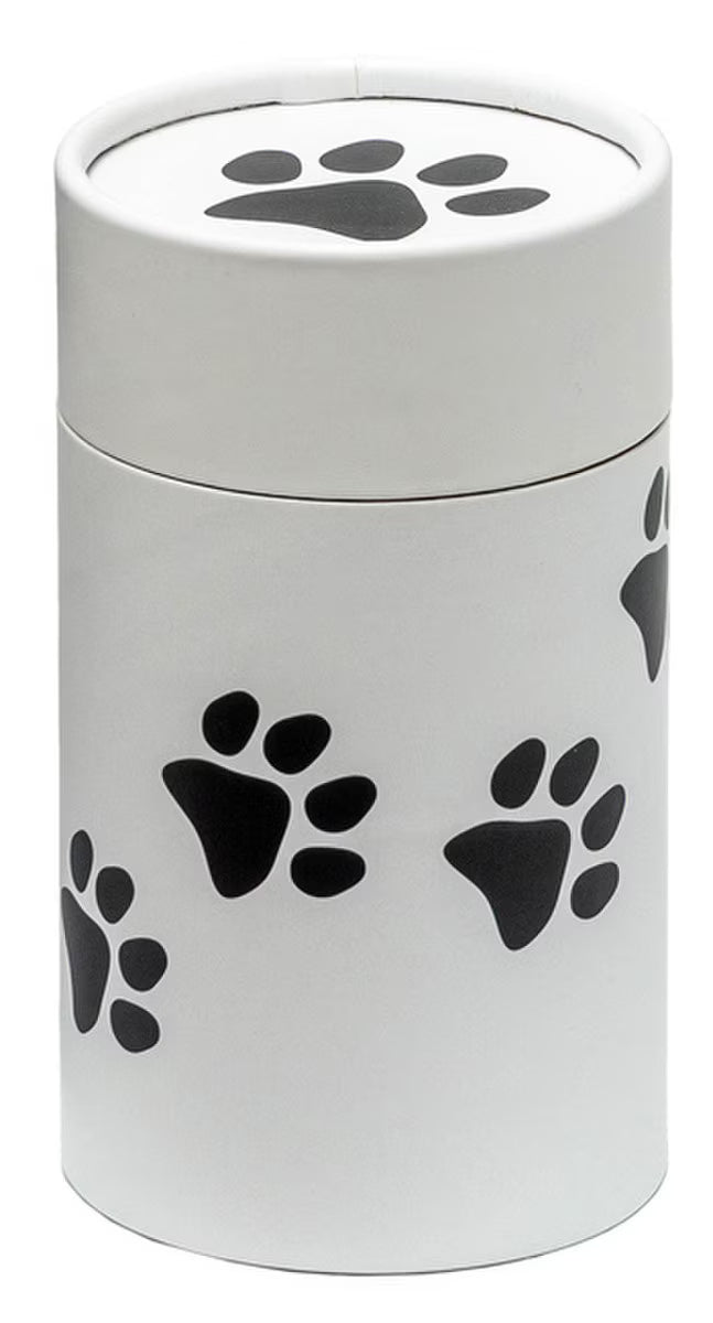 Eco-Friendly Pawprint Scattering Tube Miniature