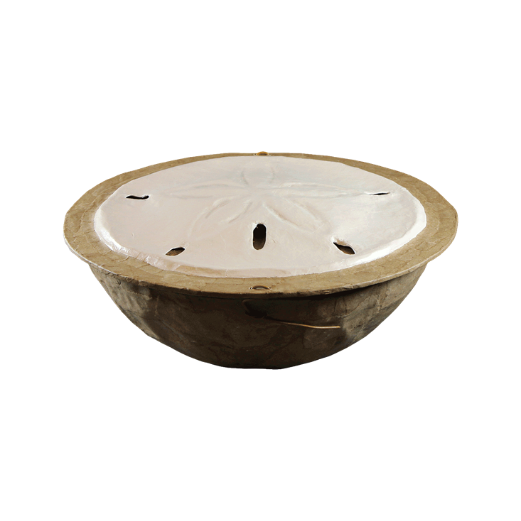 Eco-Friendly Sand Dollar Urn
