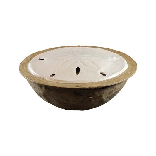 Eco-Friendly Sand Dollar Urn