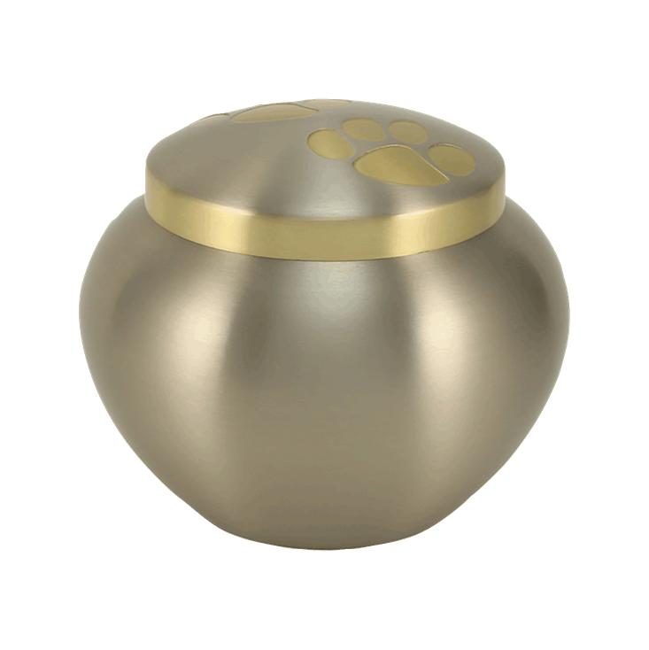 Double Paw Brass Urn